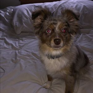 Meet your Posher, Caleb